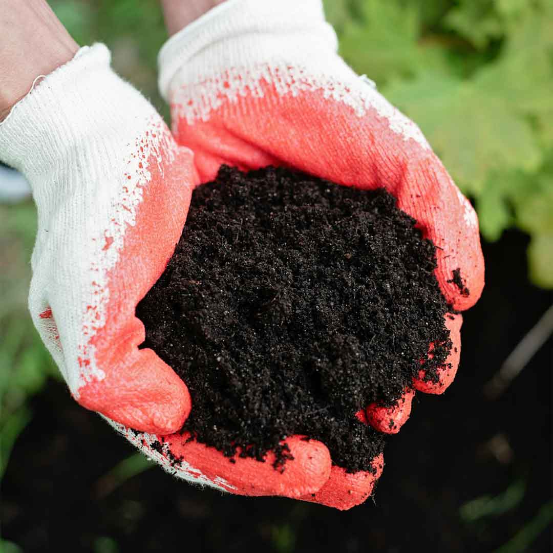 Compost application on California farmland - EKRCD Healthy Soils Program funded practice
