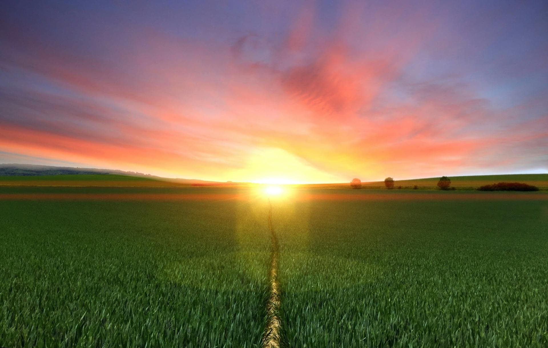 Sunset over agricultural fields in Central California - EKRCD conservation district board of directors governance